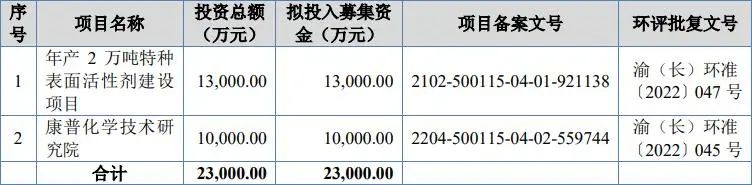 公司 IPO 募投項目情況